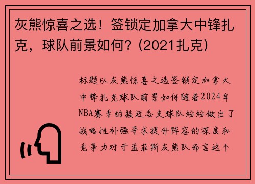 灰熊惊喜之选！签锁定加拿大中锋扎克，球队前景如何？(2021扎克)